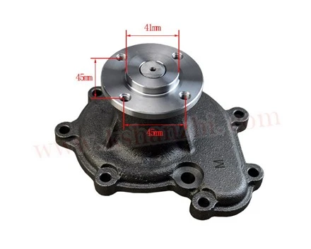 فورک لفٹ کے حصے SDWP10954/901096872 انجن واٹر پمپ برائے Hyster/Yale HA 8K